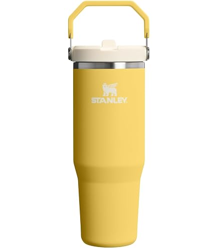 Stanley AeroLight Transit Bottle 20 oz | Locking Drink Through Lid